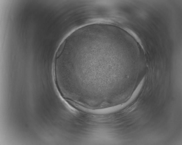 X0000069791391200605261645