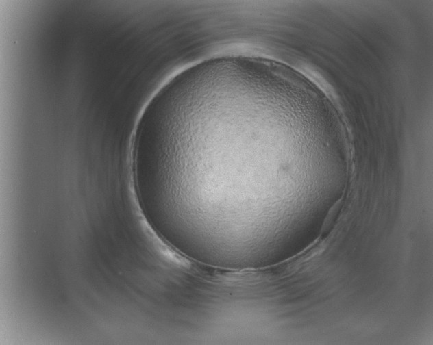 X0000069791392200605261645