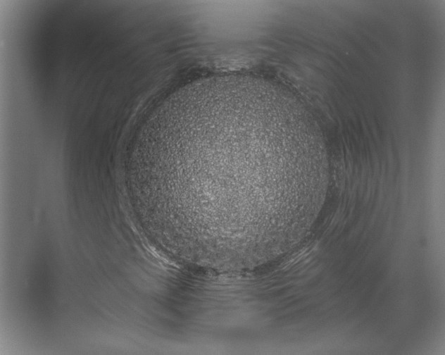 X0000069791393200605261644