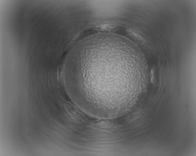 X0000069791395200605261644