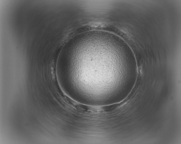 X0000069791396200605261644