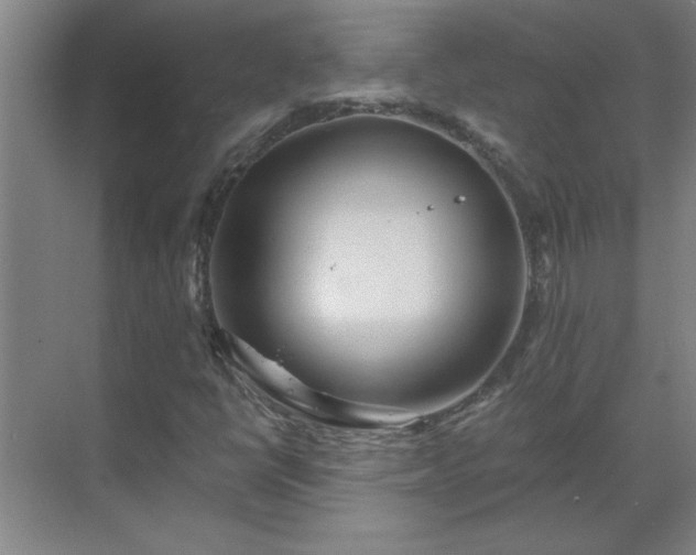 X0000069791398200605261644