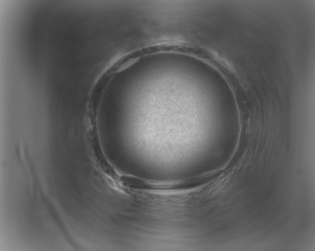 X0000069791400200605261645