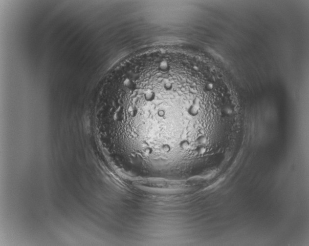 X0000069791401200605261645