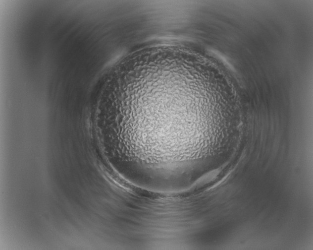 X0000069791403200605261645