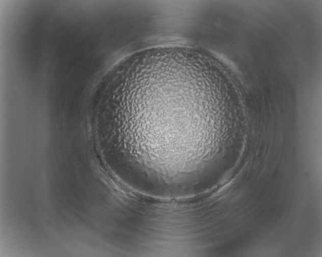 X0000069791407200605261645