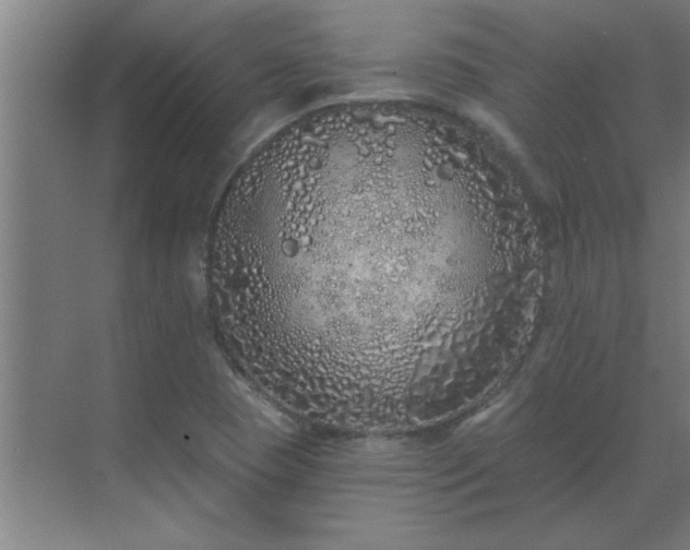 X0000069791409200605261645