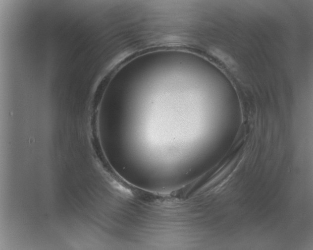 X0000069791410200605261645