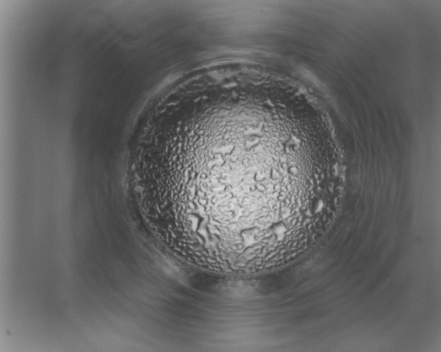 X0000069791411200605261645