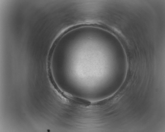 X0000069791412200605261645