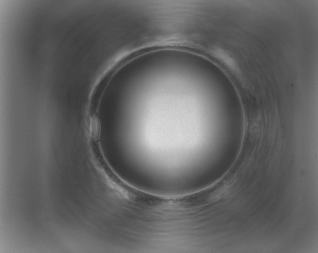 X0000069791414200605261645