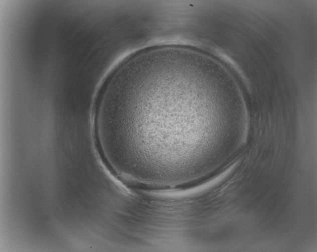 X0000069791416200605261645