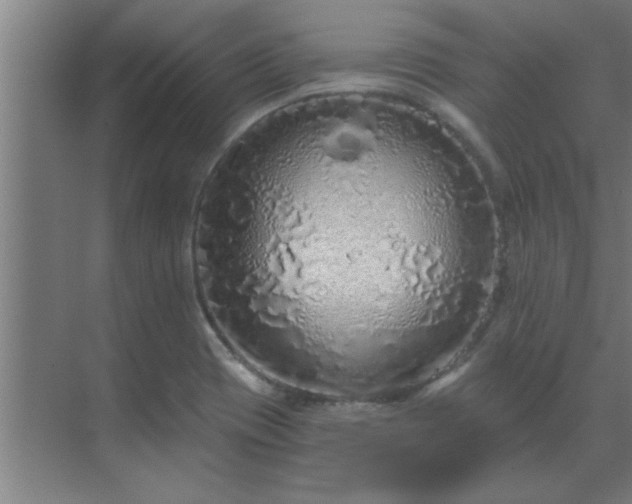 X0000069791417200605261645