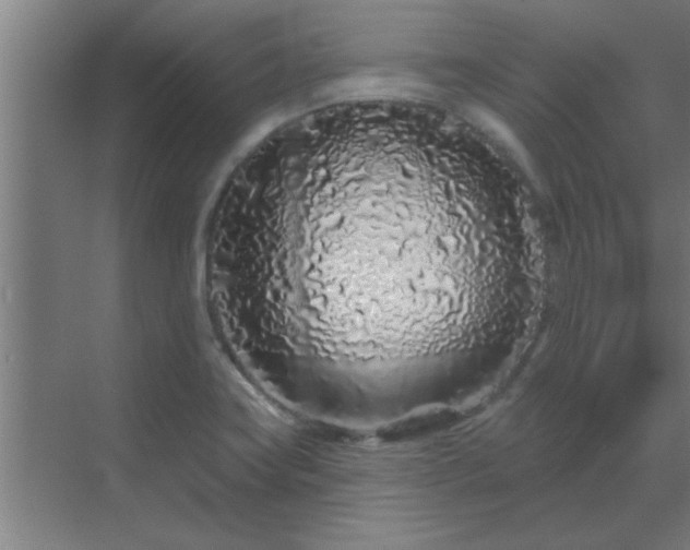 X0000069791419200605261645