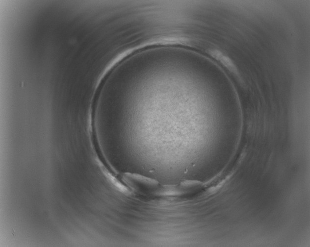 X0000069791420200605261645