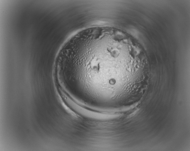 X0000069791421200605261645