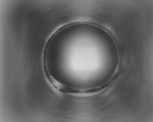 X0000069791422200605261645