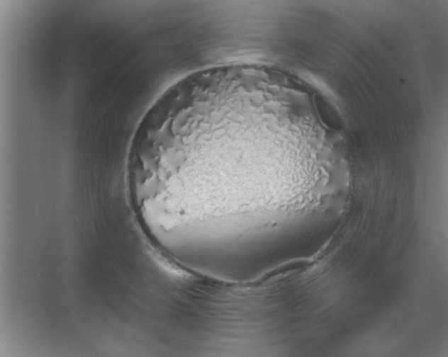 X0000069791423200605261645