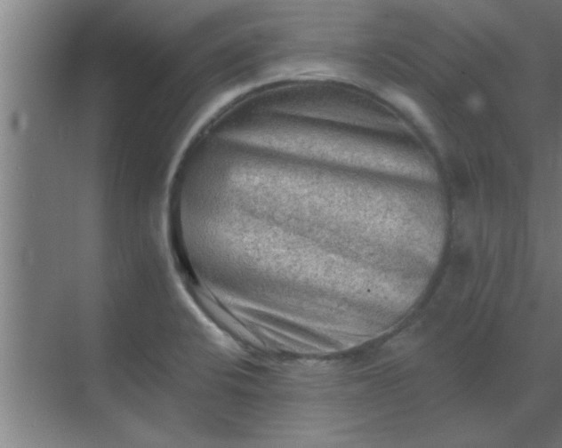 X0000069791424200605261645