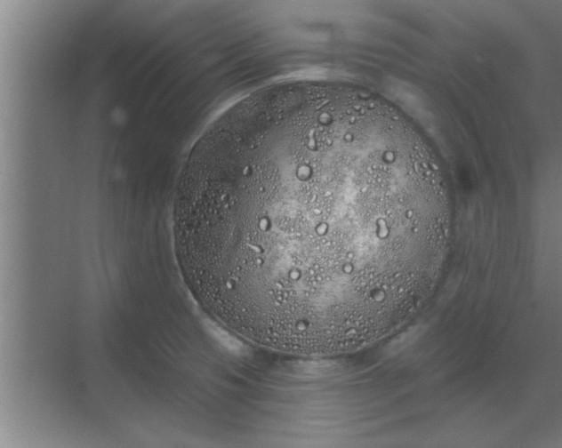 X0000069791425200605261645