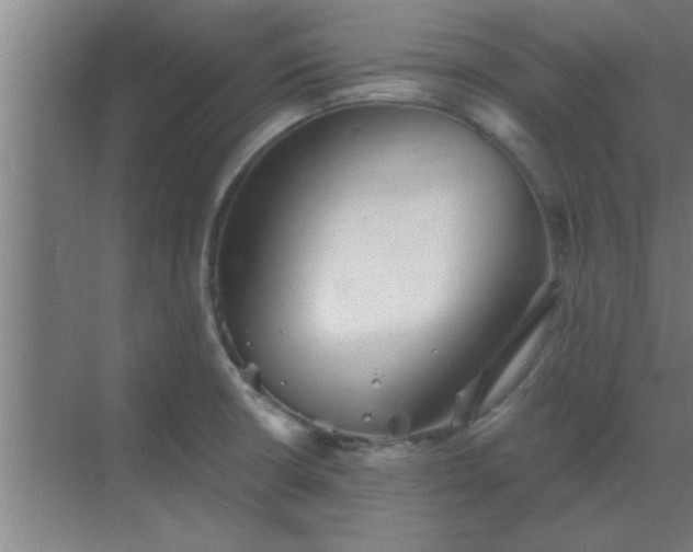 X0000069791426200605261645