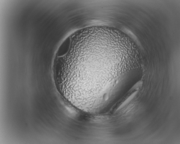 X0000069791427200605261645