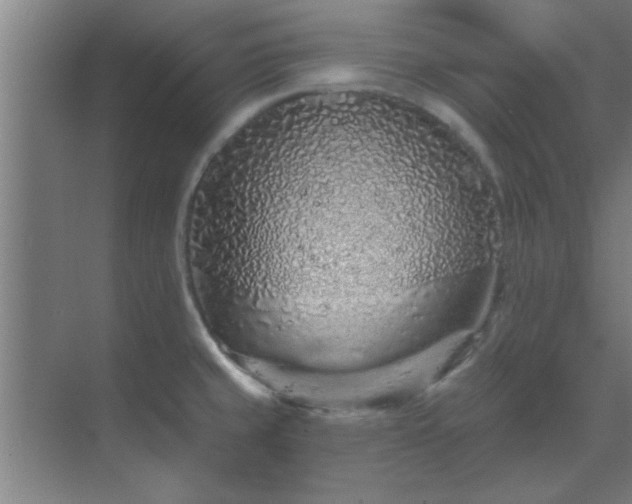 X0000069791429200605261645