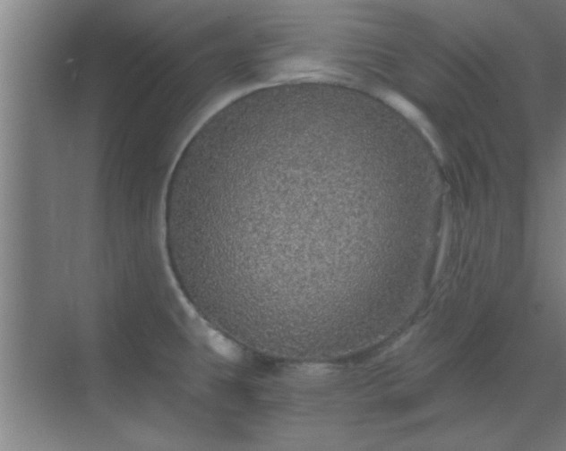 X0000069791431200605261645