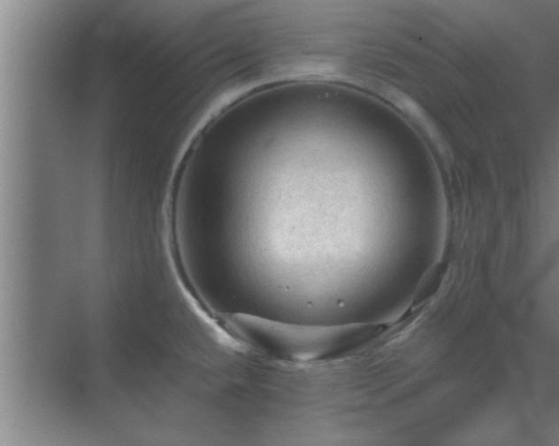 X0000069791432200605261645