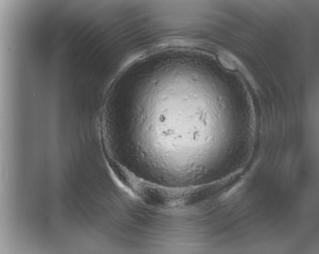 X0000069791433200605261645