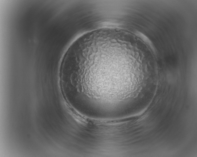 X0000069791435200605261645