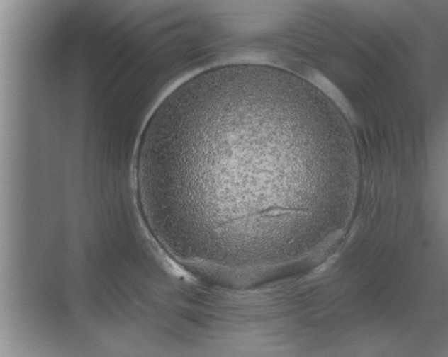 X0000069791436200605261645