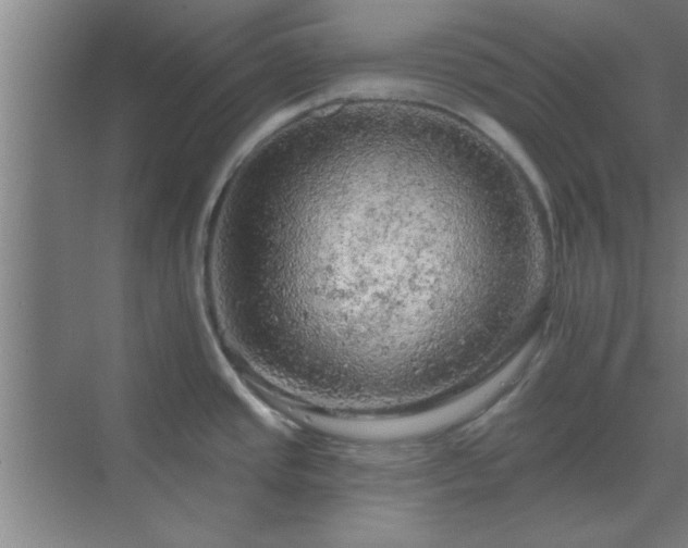 X0000069791437200605261645