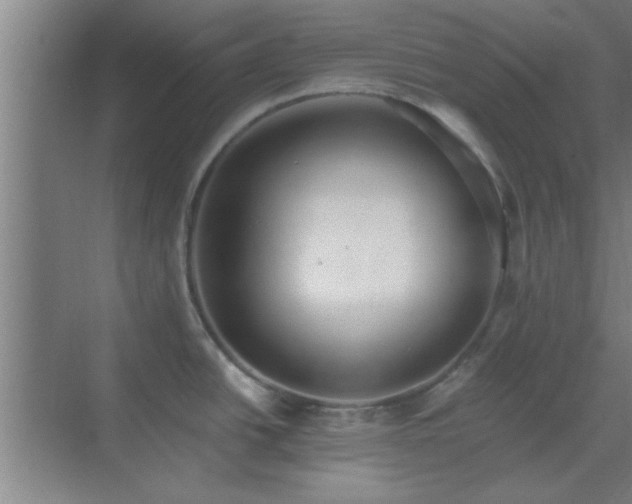 X0000069791438200605261645