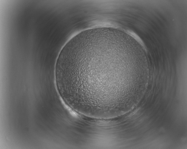 X0000069791439200605261645