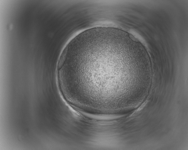 X0000069791440200605261645