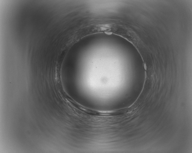 X0000069791442200605261644