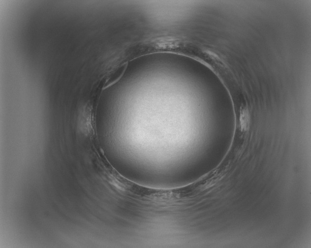 X0000069791444200605261644