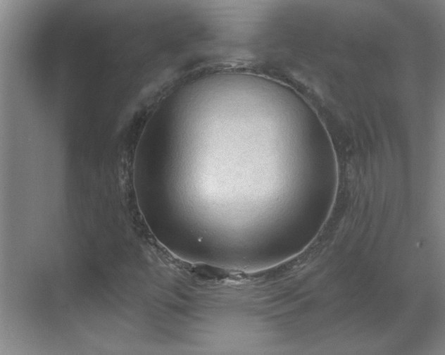 X0000069791447200605261644