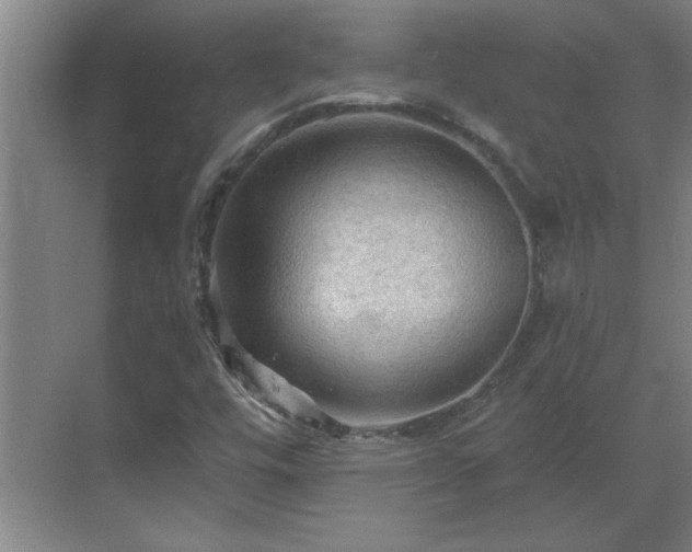 X0000069791448200605261644