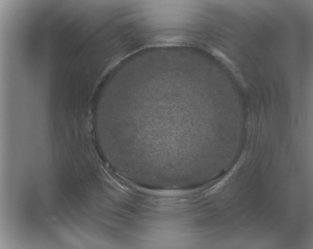 X0000069791449200605261644