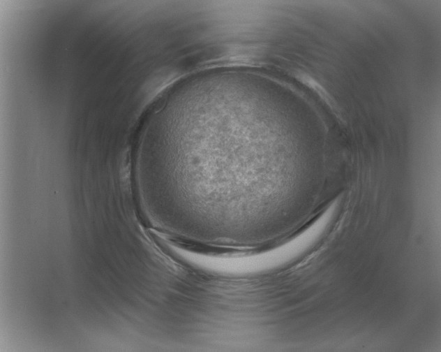 X0000069791450200605261644