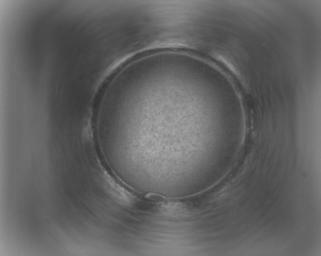 X0000069791452200605261644