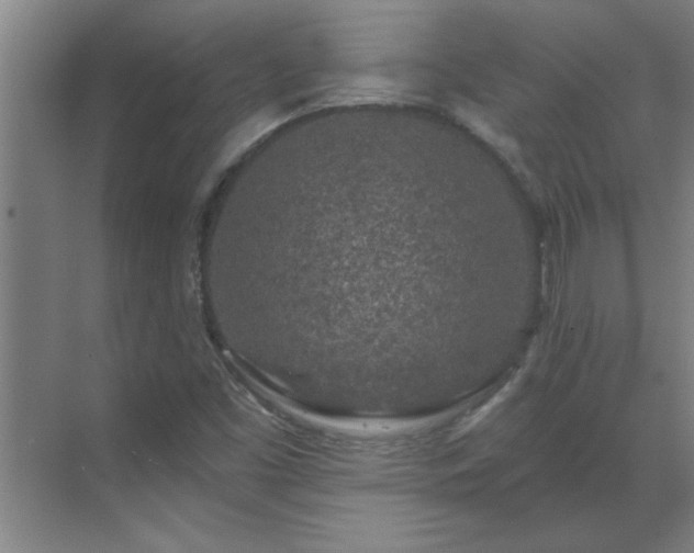 X0000069791453200605261644