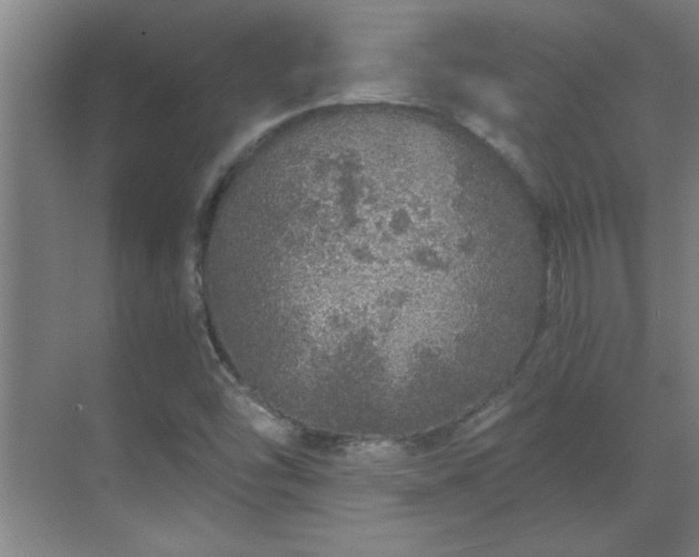 X0000069791454200605261644