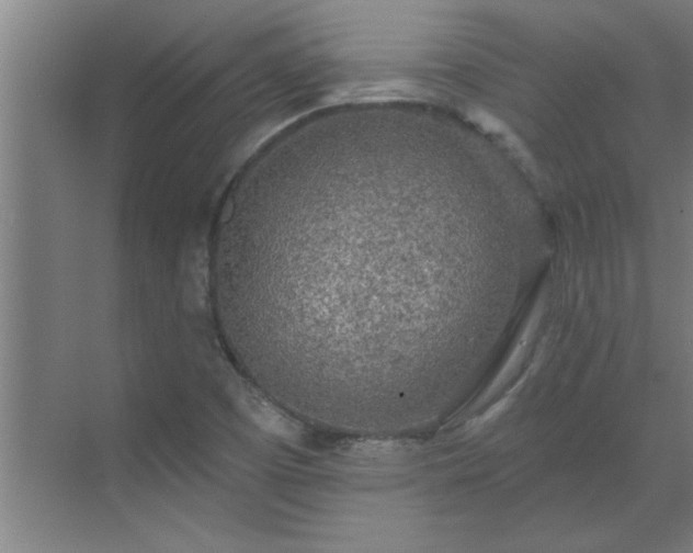 X0000069791457200605261644