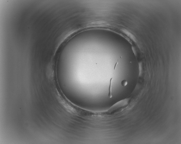 X0000069791458200605261644