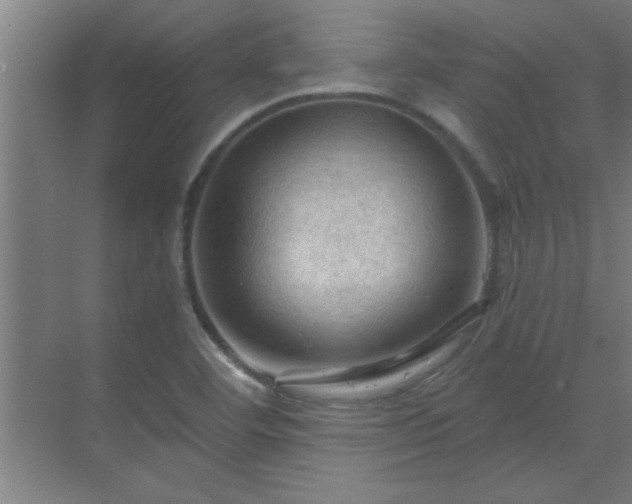 X0000069791460200605261644