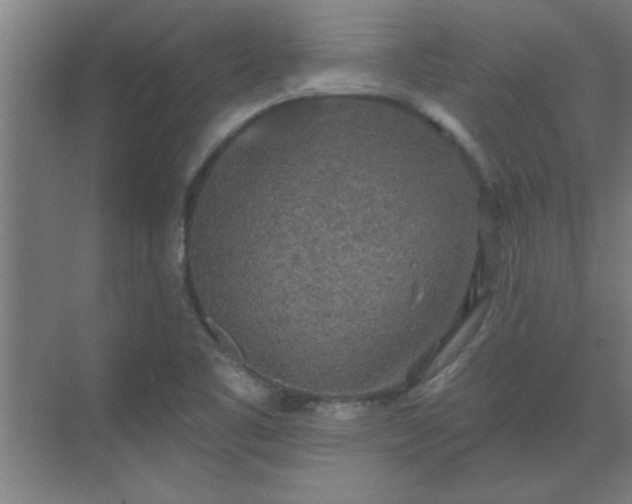 X0000069791461200605261644