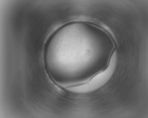 X0000069791464200605261644